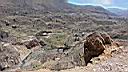 Colca